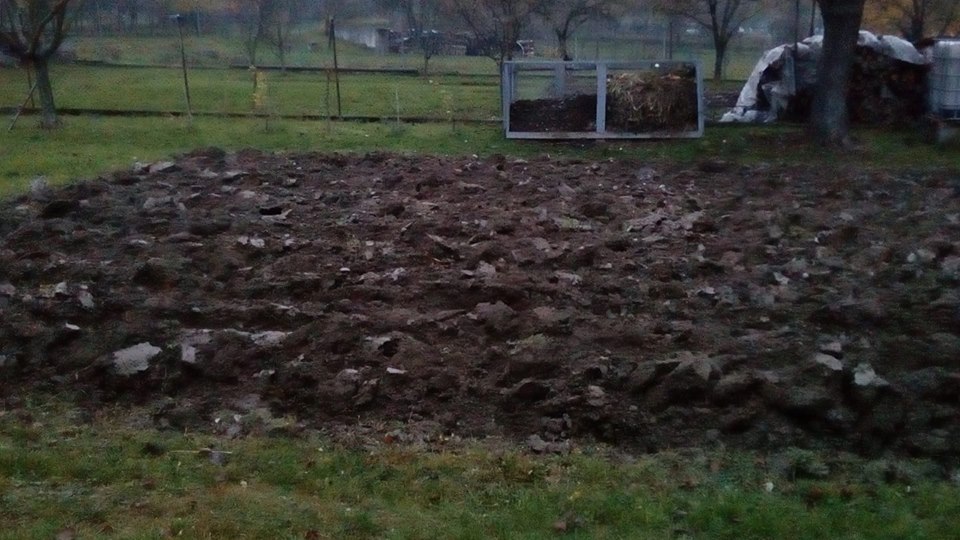 23231611_1713555598663712_6490792200851681639_n