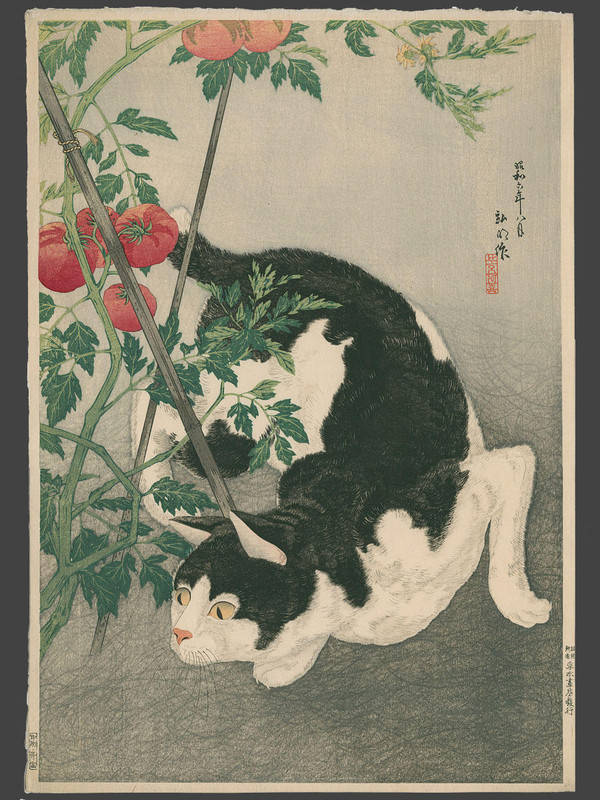 1-Shotei-Takahashi-No-Series-Black-Cat-And-Tomato-Plant-00043835-120415-F12