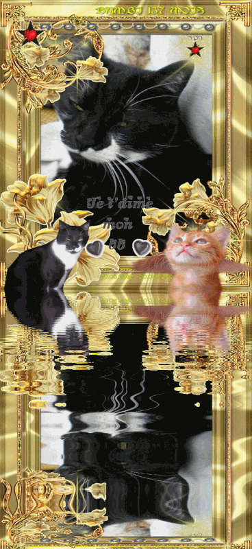137-MOIS-BAMI-GIF