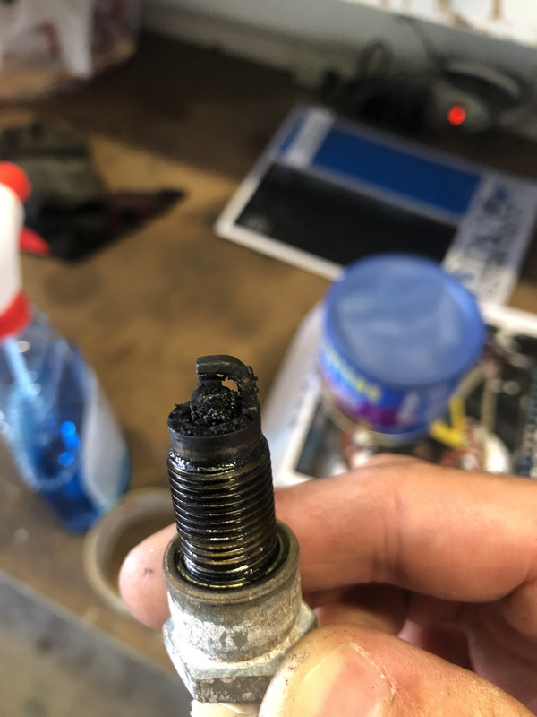 02B093ED-6E32-4288-8E7A-1D757010EE14