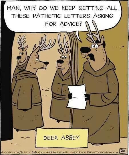 My opinions may change, but not the fact that I'm right! Deer-abbey