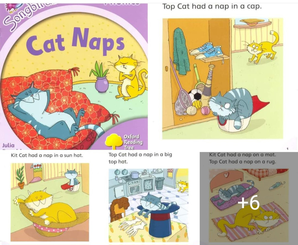 Download Phonics Story for kids . PDF or Ebook ePub For Free with | Phenomny Books