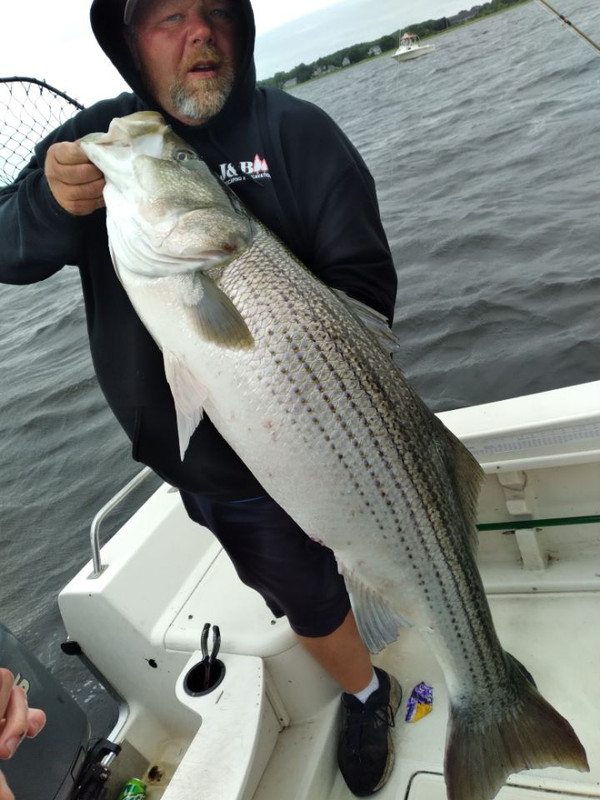 C590360A-D29A-4764-A797-F2AD6E3D5D44