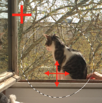 Flèches de Sélections