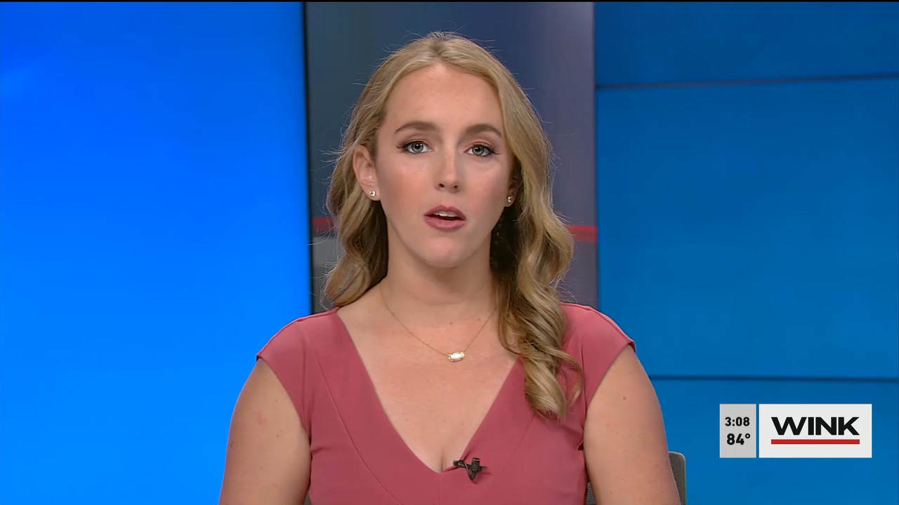 01.31 - 20.00.00 - WINK News at 3pm  ᴺᵉʷ..ts_snapshot_00.14.57.346