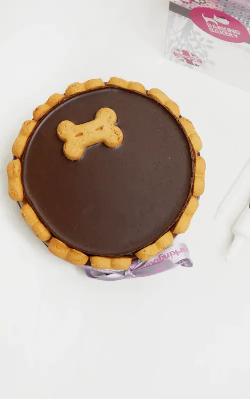 [Image: 7c1d0bab016653d662de4019a0131bde42e3dc52-cmk7045-2.webp]