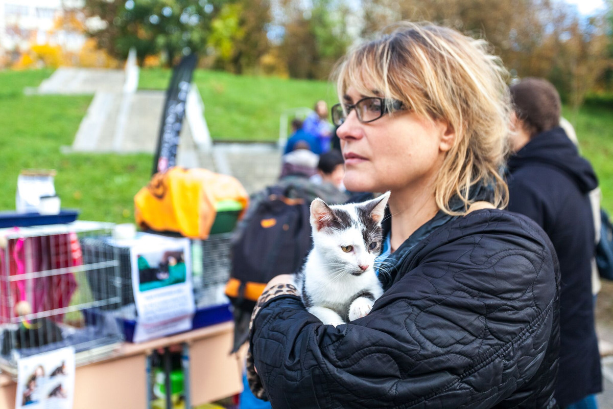 B932A600-7B74-4DA8-88FF-E42E2D3CCF2A