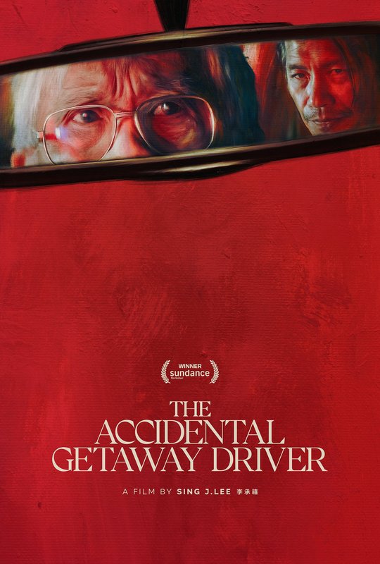 Kierowca z przypadku / The Accidental Getaway Driver (2023) MULTi.1080p.WEB-DL.H.264-FOX / Polski Lektor i Napisy PL