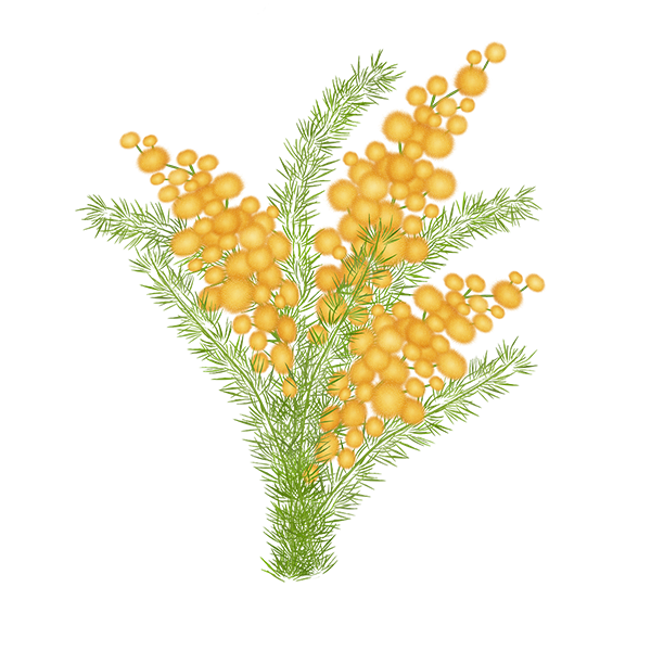 KBK_BunnyTrail (107)