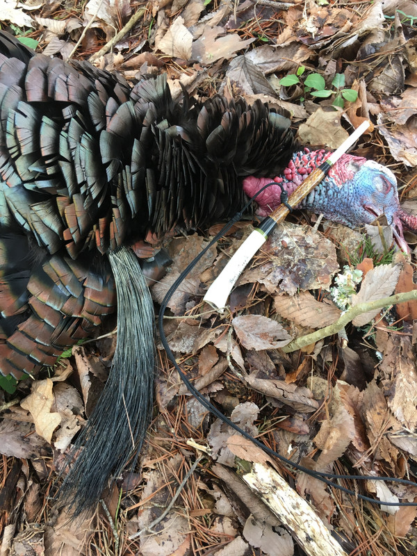 6E307464-418F-4EBC-A612-DD22A6B5632A