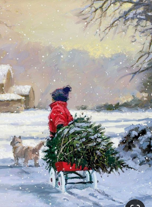 Screenshot_20231221_222522_Pinterest