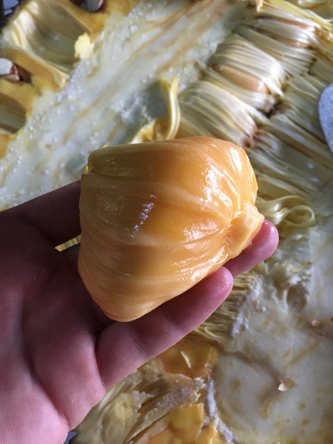 7B061E4A-2CE0-4380-9628-04EEA3A58401