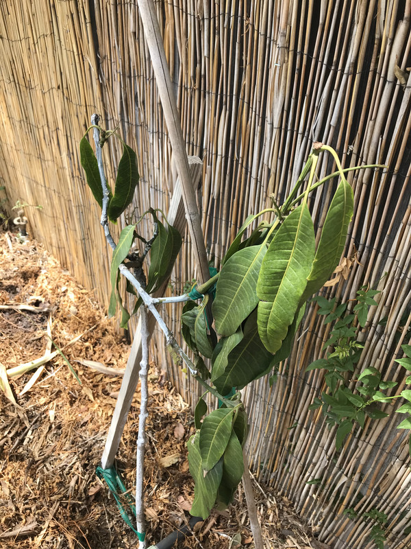 C3C7B9F2-2C27-482E-AC02-A28140ADC591