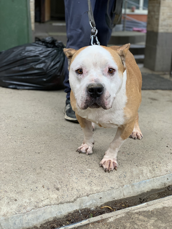 0304C904-C6F8-4382-9F46-BF726DB6215D