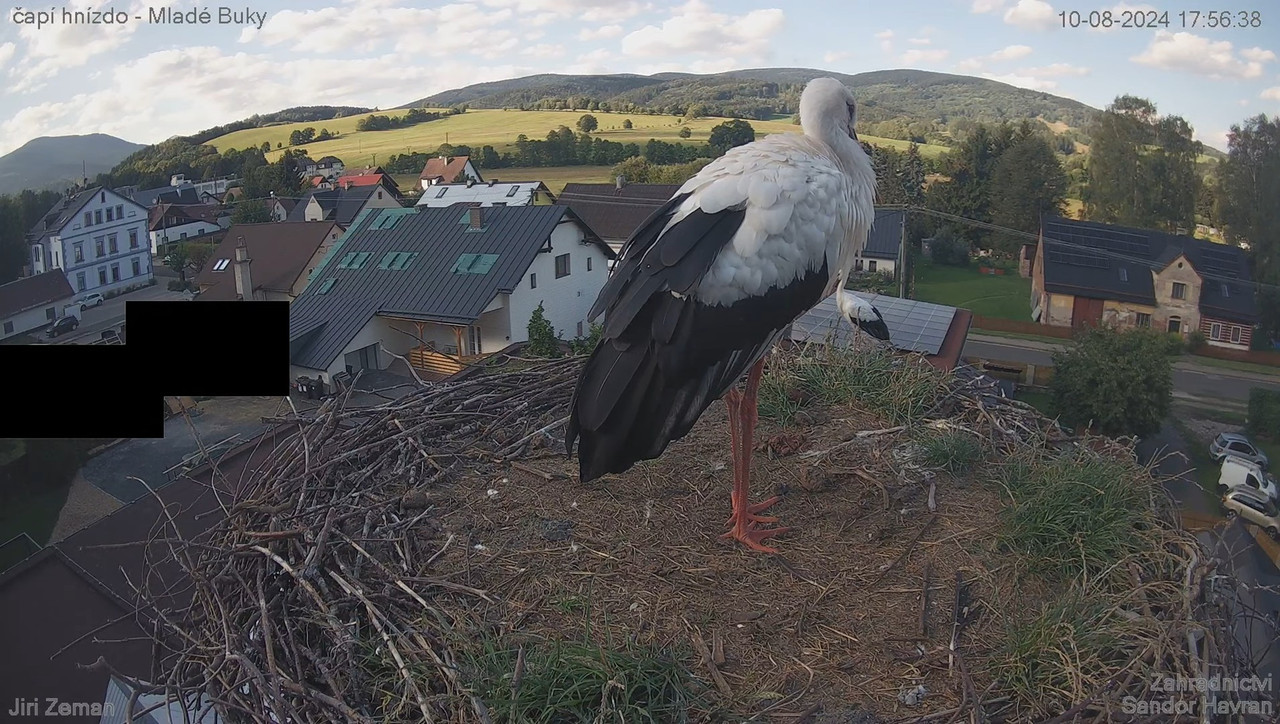 Tiešraides kamera — Mladé Buky — stārķa ligzda 15-33-0 screenshot