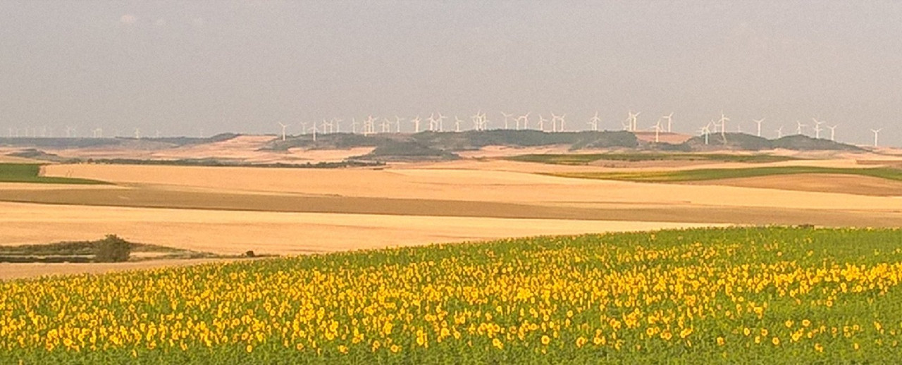 yellowindfarm.jpg
