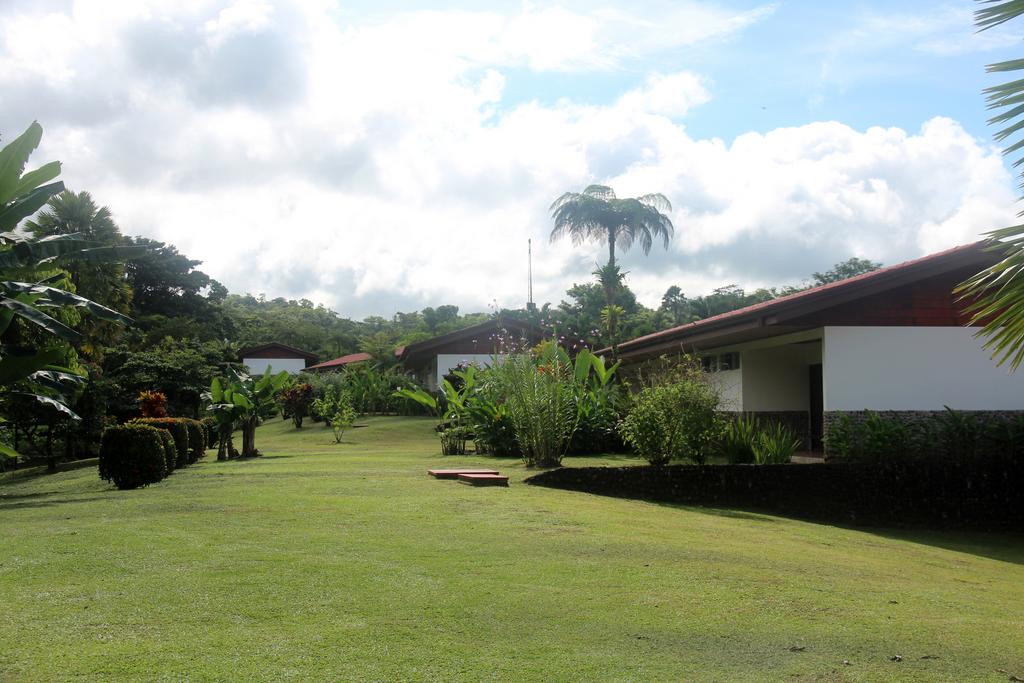 DE TORTUGAS Y PEREZOSOS. COSTA RICA 2019 - Blogs of Costa Rica - DIA 7: ARENAL. CATARATA FORTUNA (8)