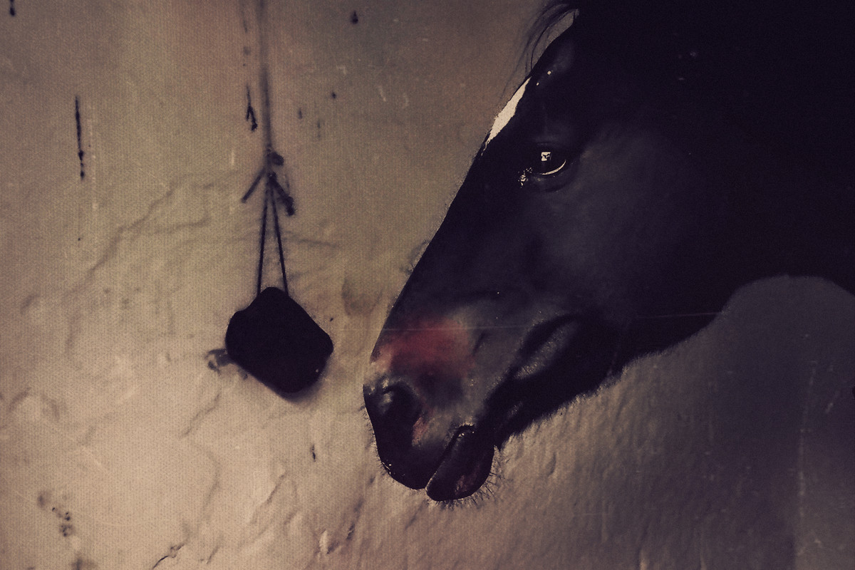 1-1-IMG_20221011_160358 (1)