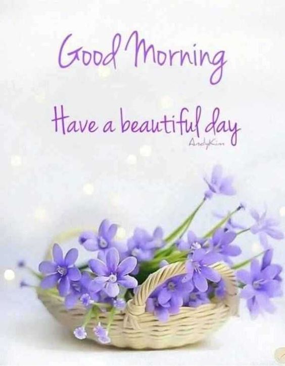 8b69915f708fb92e3579791586d6ab20