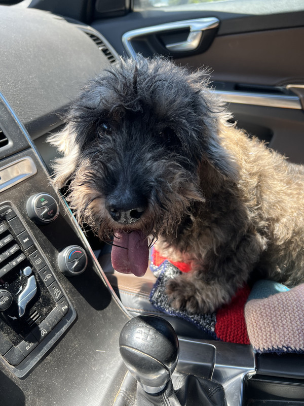 [Image: 70999404079-3-DE77-D09-5704-4-B14-9290-F...9850-D.jpg]