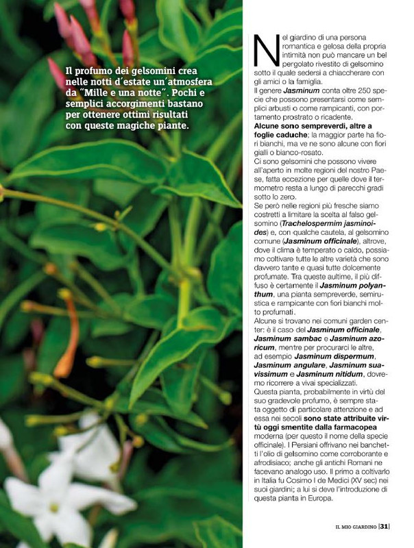 Il Mio Giar Mag-Giu 2020 (4)