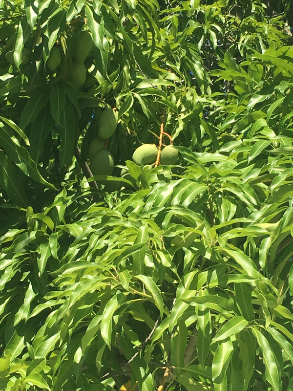 A453273B-1AA5-432D-95C9-E7B279EE6699