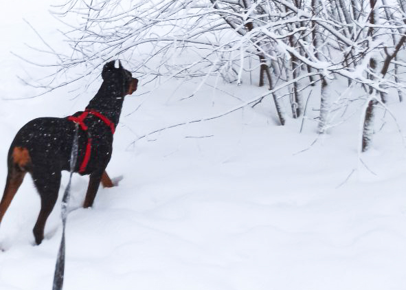 photo_2024-01-13_20-16-45 (2)