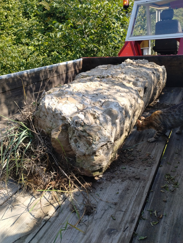 IMG_20250901_113219442