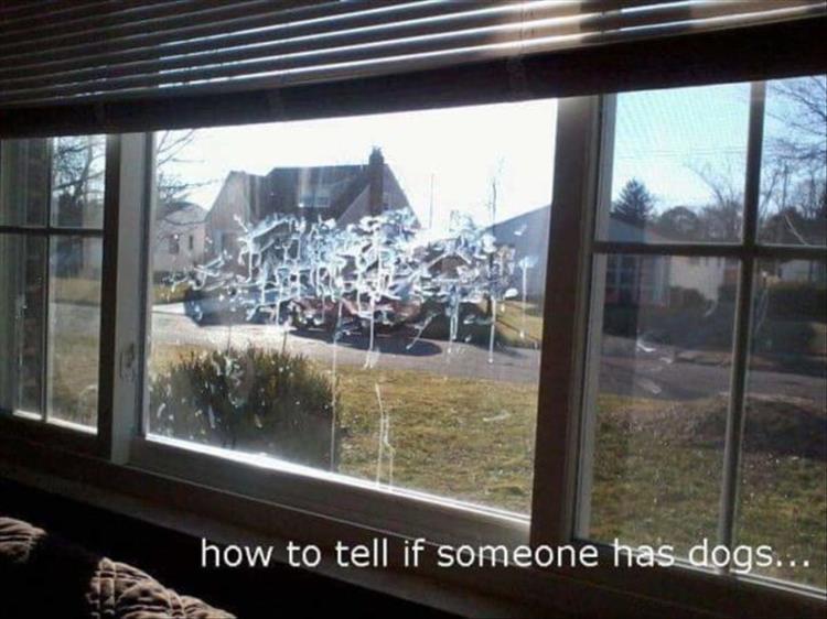 f_d_up_front_window_sign_off_dog_ownership.jpg