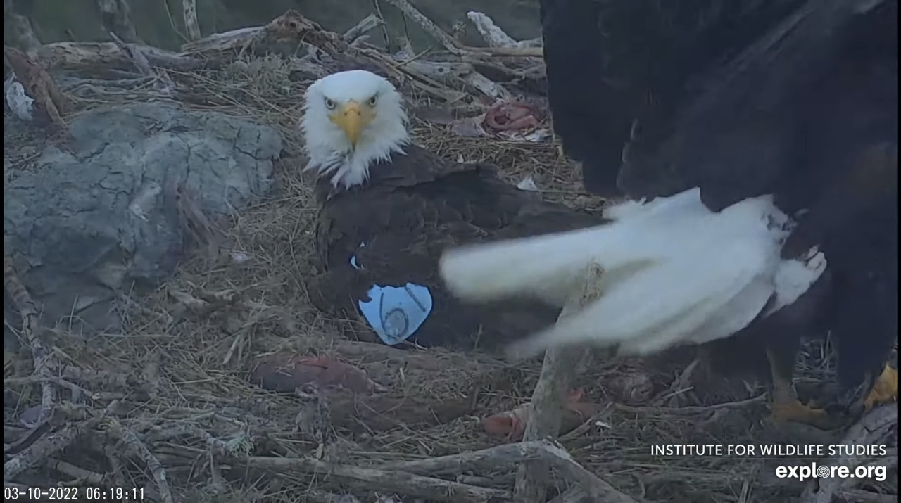 85A18F17-EA59-4D7D-9AF4-E208795D75DB