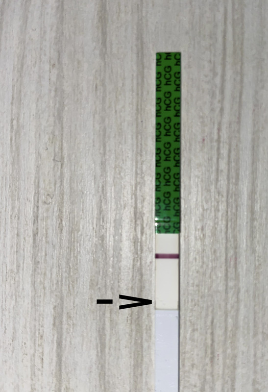 852E4B4F-BDF4-4D5D-AC1B-C9B79D676CF6