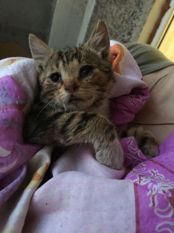 14DDE336-8C19-44F5-A2DB-2E0CD0A71411