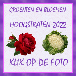 GR-BLOEMEN-2022