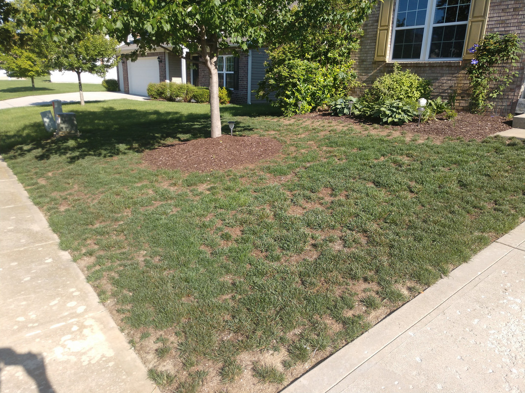 IMG_20180630_180416535