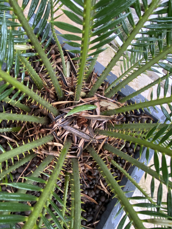 0BE1AF2A-D47A-4903-A08C-94E1BF796C13