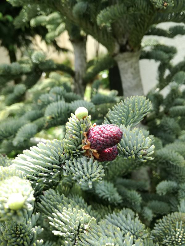 IMG_20190510_140635