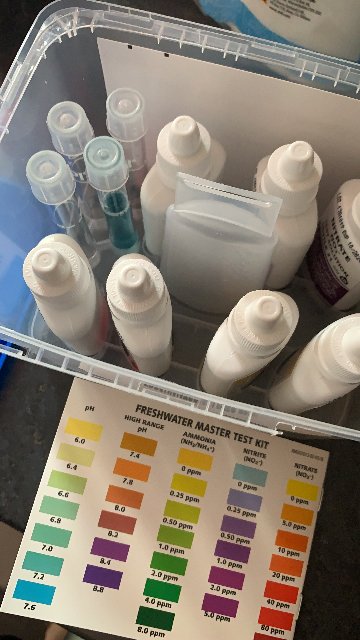 FAEAC2D1-A608-4EC7-9B74-D13AF6490B25