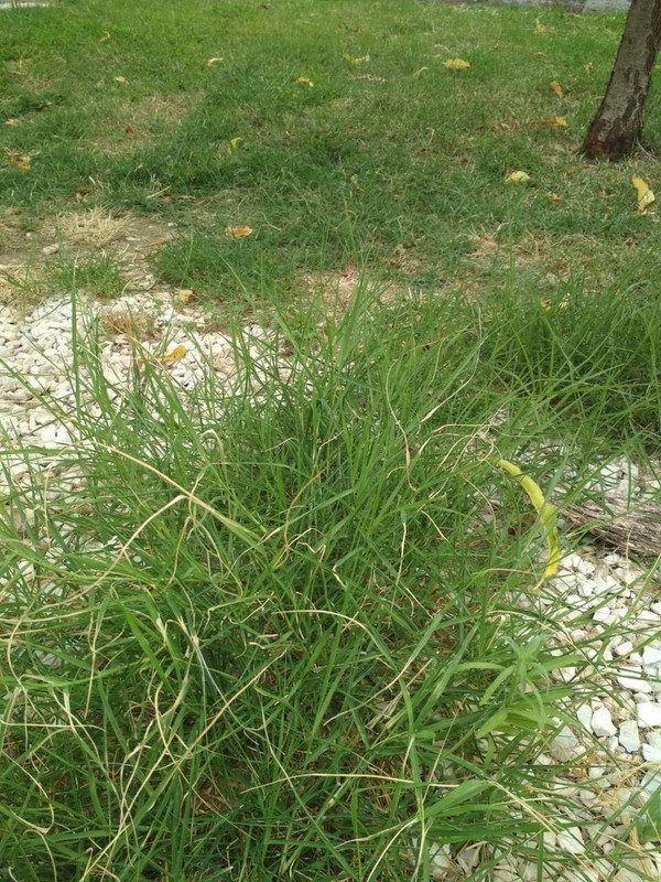 2A35DE61-E39F-4F4F-86A1-97226187A792