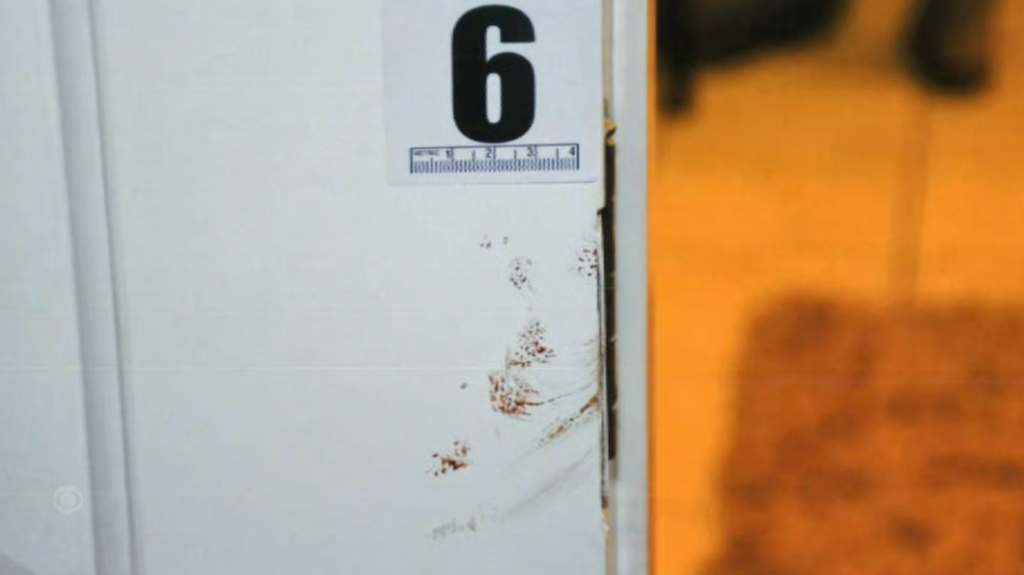 [Image: 48-Hours-S36-E11-1080p-HEVC-x265.png]