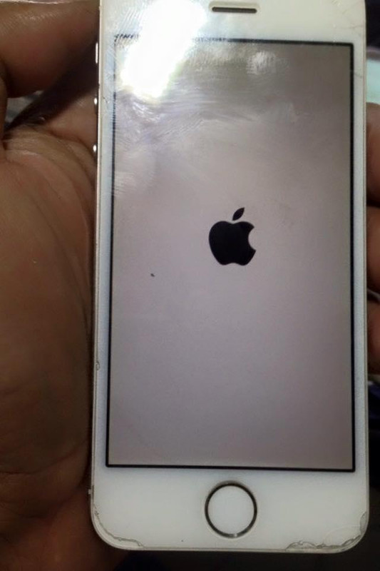 20914669_1510595302331618_3553246961071273461_n