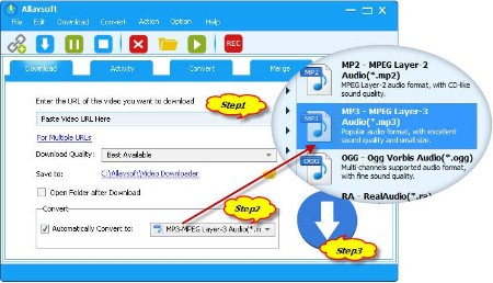 Allavsoft Video Downloader Converter 3.25.4.8448 Multilingual