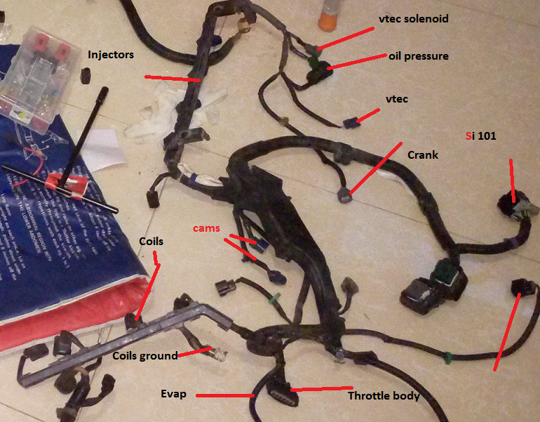 Abdul's k24 or k20 Swap build/Guide with Complete Wiring