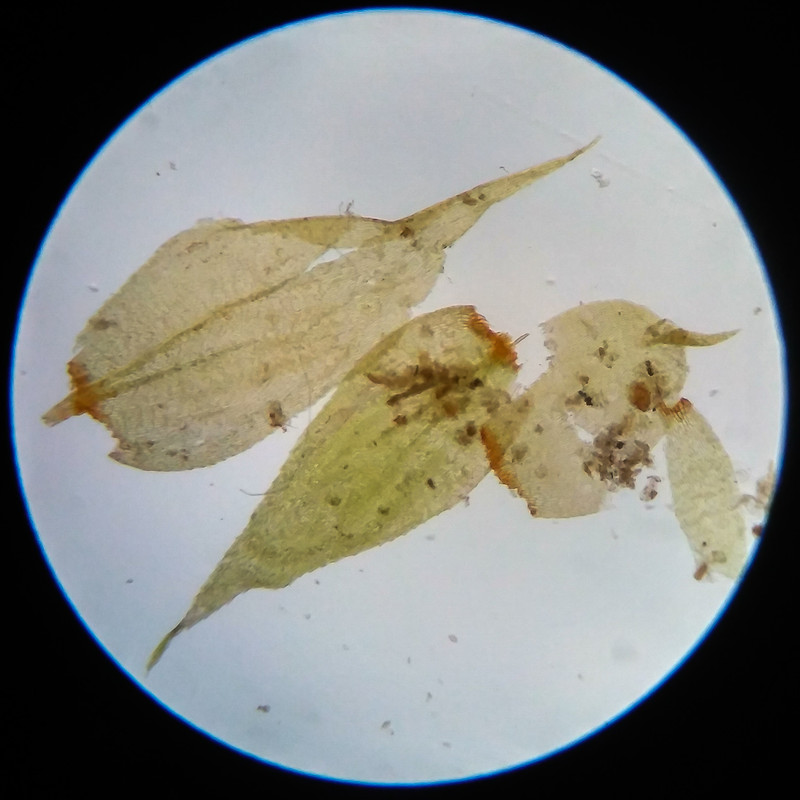 IMG 20250617 112126 HDR