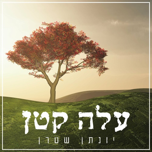 תמונה