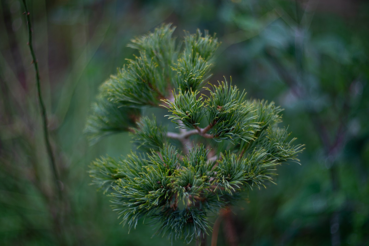 IMG-56c6ba5e8fe38f47af00c03ac1bea2f3-V
