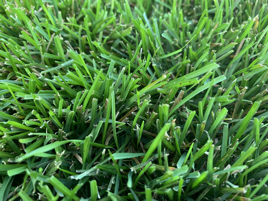 6B5944A6-0675-4CD7-9685-42D3844B0D34