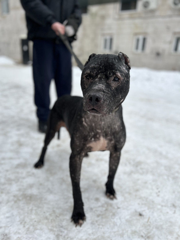 32B08F7A-06A3-415C-A6F1-59F83E6F6DBE