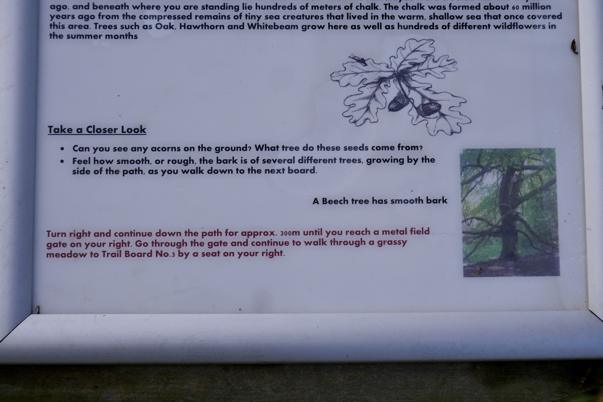 5718B0C2-CA01-4C44-B987-D8E2770B7C08