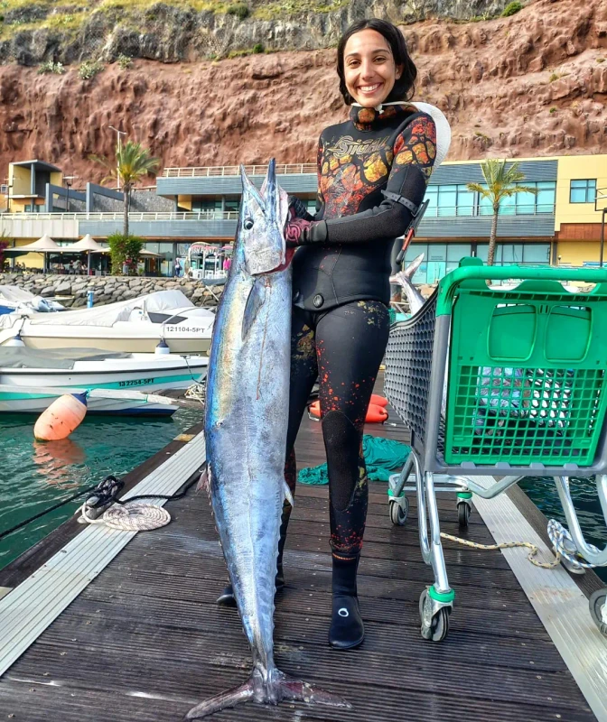 639746479 18565950871011518 4014271477852431485 Portugal Madeira Island lberimbau carolinago