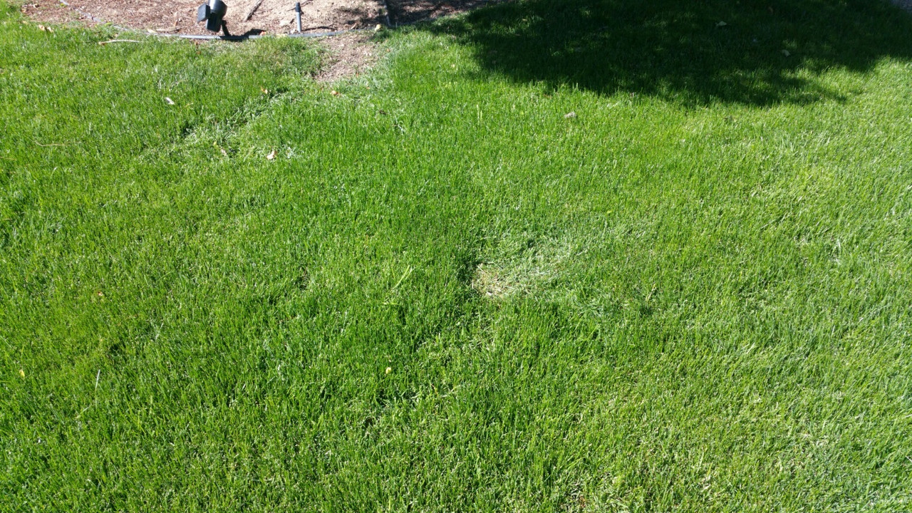 20180217_114105_1518978925256_resized